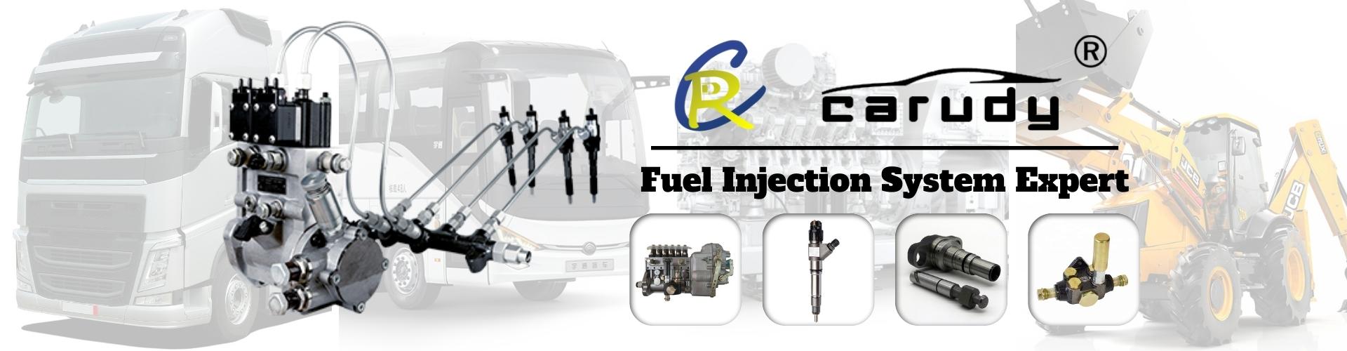 Buy and wholesale fuel injector parts,fuel injection kit,with competitive price from carudy - one of leading fuel pump parts,fuel injection kit suppliers in China.