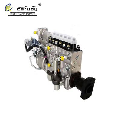 6P437 Diesel injector pump parts for Sinotruck