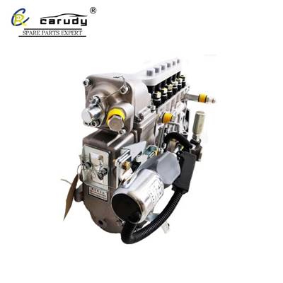 6P437 Diesel injector pump parts for Sinotruck