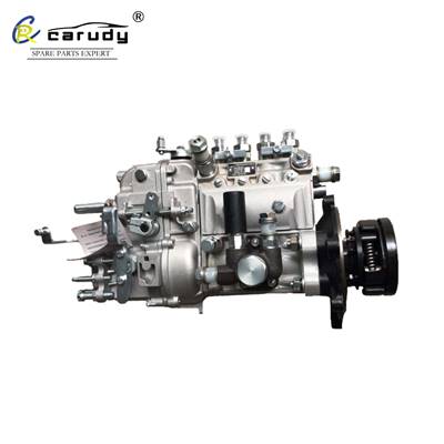 Good price 4PL series V1300001 Fuel Injection pump for sale