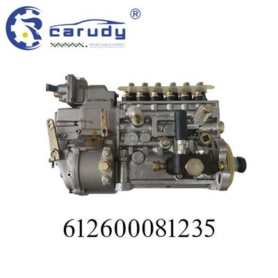 High pressure fuel pump for WEICHAI WD618 ENGINE 375HP
