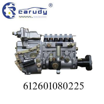 Fuel pump 612601080225 for WEICHAI WD618 Engine