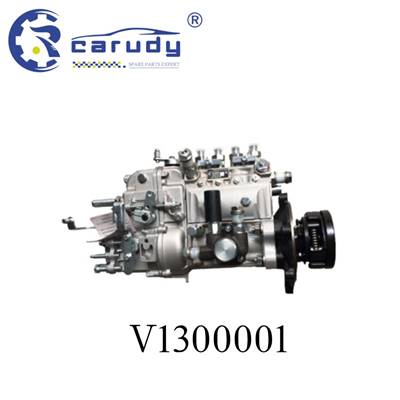 Good price 4PL series V1300001 Fuel Injection pump for diesel engine