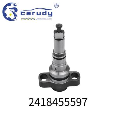 Wholesale Diesel plunger 2418455597 for Diesel engine/P8500 fuel pump series