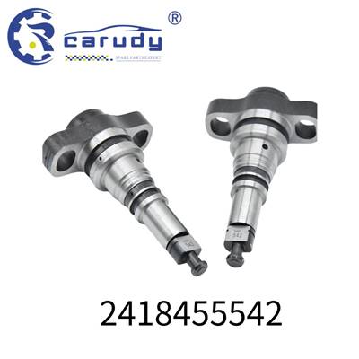 Good price diesel engine plunger 2418455542